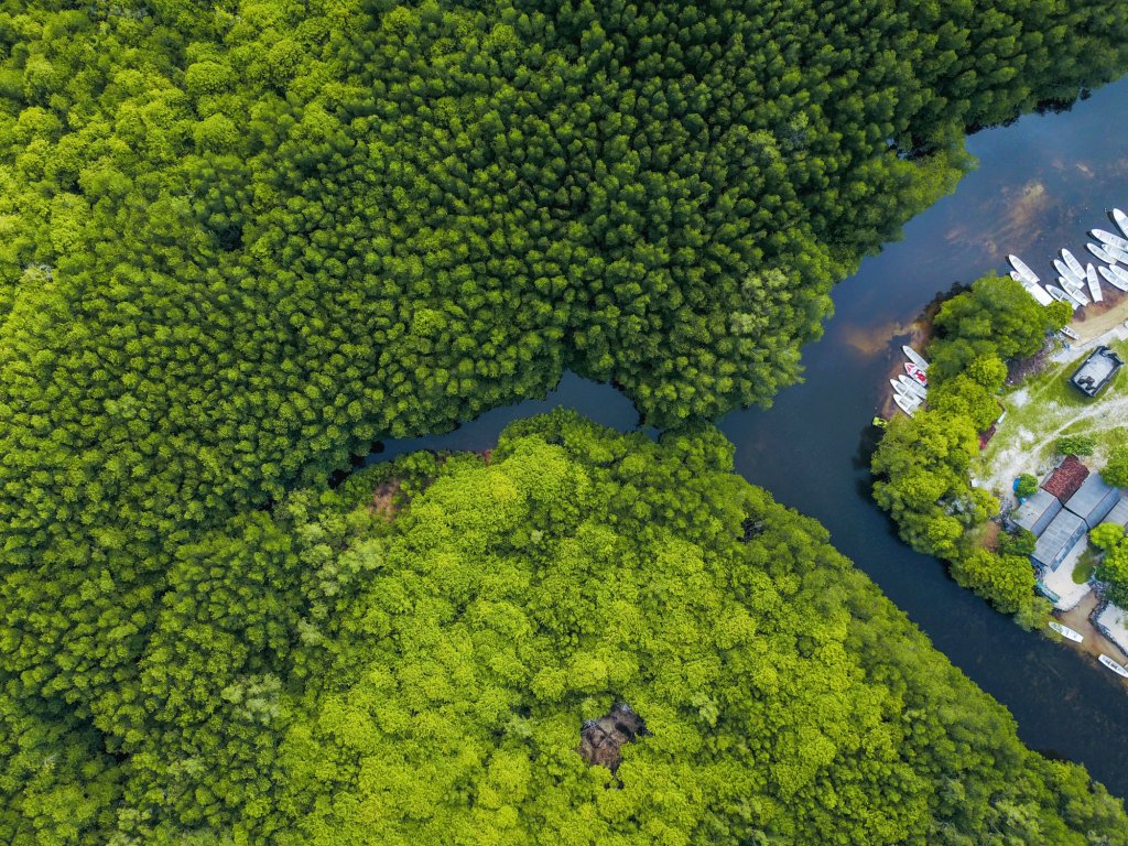 joel-vodell-585710-unsplash