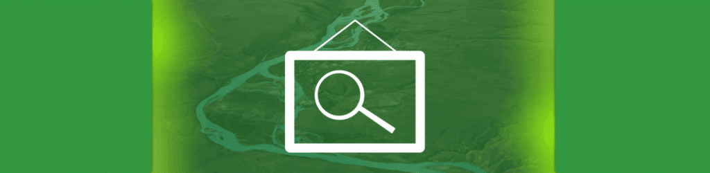 SPF Surveyor: See your SPF Record Activity
