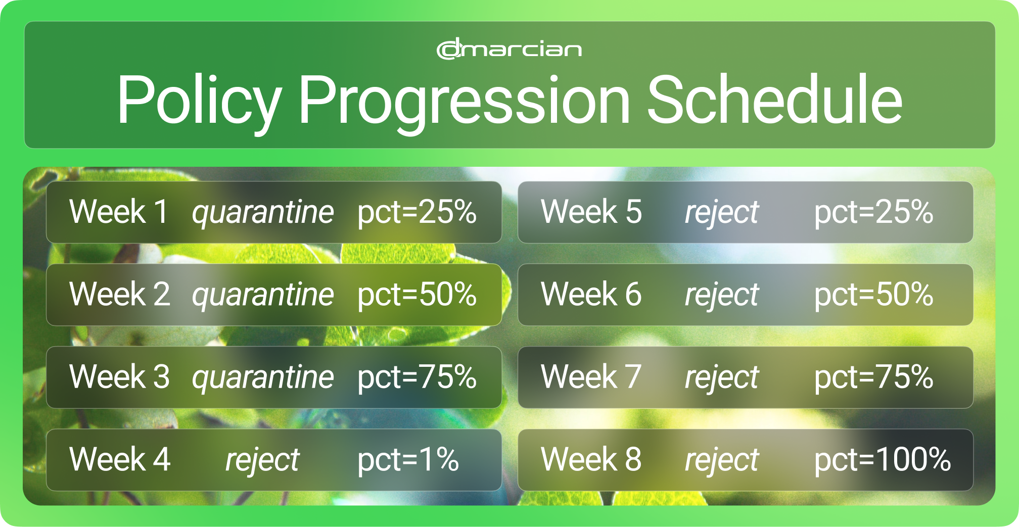 Policy progression schedule