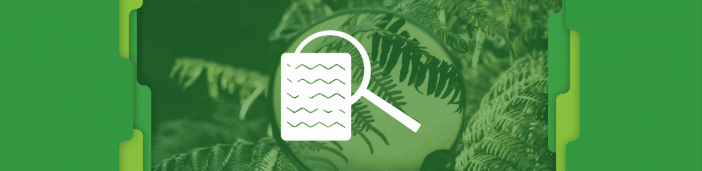 DMARC Inspector