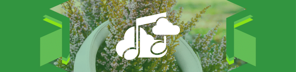 Cultural Connection through Music